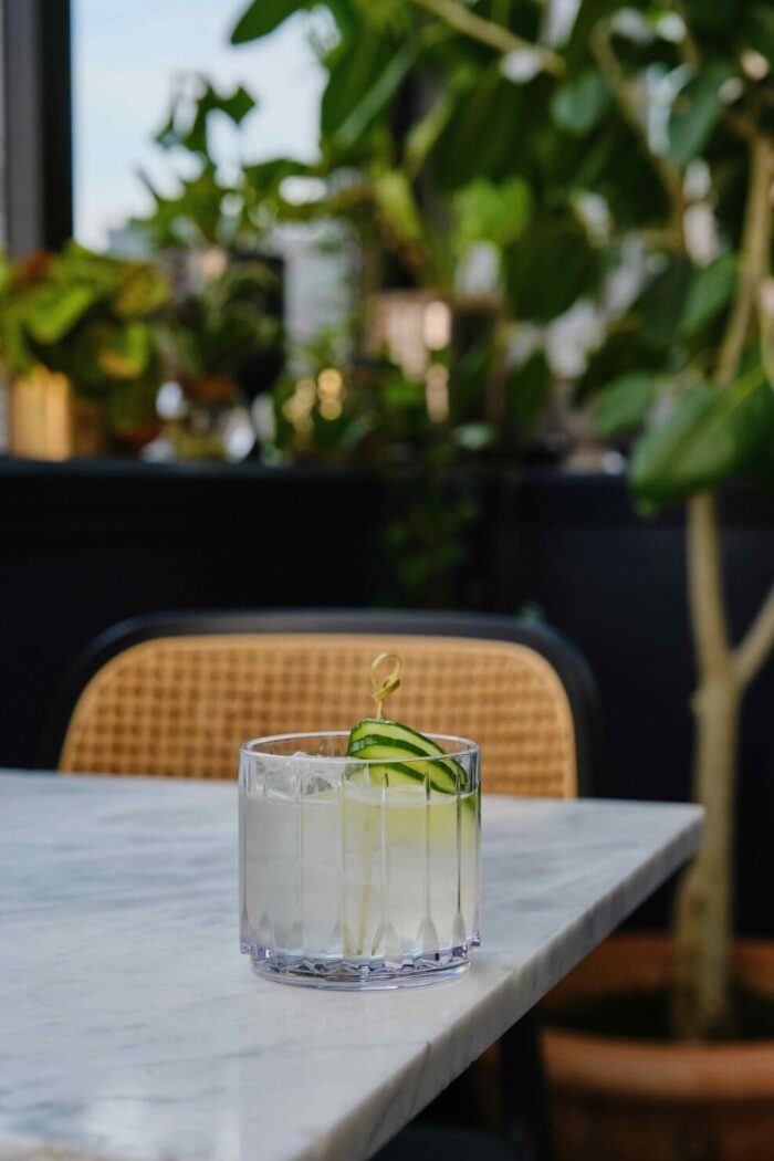 Refreshing clear cocktail with cucumber garnish served on a marble table with greenery in the background.